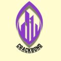 crackbond